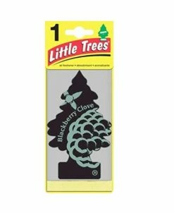 Little Tree Car Air Freshener Blackberry Clove 3 Pak